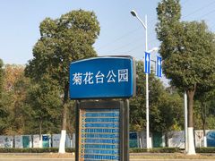 -菊花台公园
