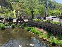 -Local泰莲庭(虹鳟鱼店)