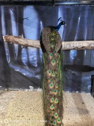 -酷嗒动物文化乐园(cutezoo西溪乐天城店)