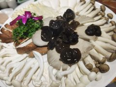 -秦宝雪花牛肉养生火锅(大兴九臻店)