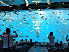 -瑞德姆美人鱼海底演艺主题餐厅(亚龙湾店)