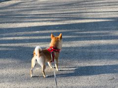 -山下C5cafe(惠通时代广场店)