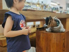 -周日夜市