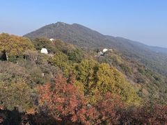 -紫金山天文台