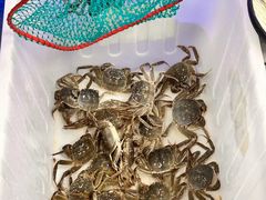 -祥鹤龙虾螃蟹