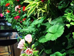 -Seesaw Coffee(环贸iapm店)
