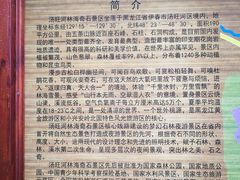 -嘉荫恐龙国家地质公园