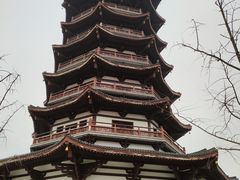 -洋湖国家湿地公园