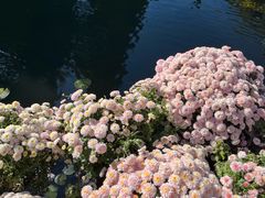 -杭州植物园
