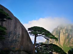 -黄山玉屏楼宾馆餐厅