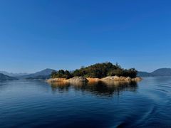 -千岛湖东南湖区