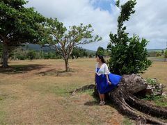 -美国纪念公园