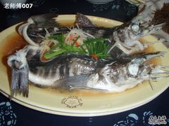 南极冰鱼-白家餐厅(徐家汇店)