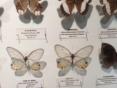 -吉林省自然博物馆