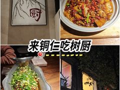-树厨贵州菜(铜仁花果山店)