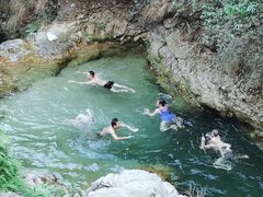 -南海湾森林生态园