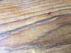 -傣妹火锅(狮子桥店)