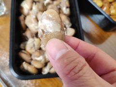 -洪湖里王姐大乌豆
