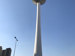 -辽宁电视塔