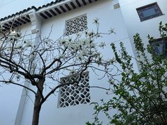 -苏州吴宫泛太平洋酒店