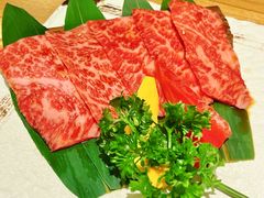 -炼火烤肉店