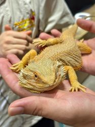 -Zoolung Zoolung动物主题公园(海信广场店)