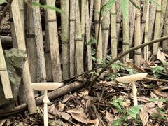 -黄山翡翠谷景区