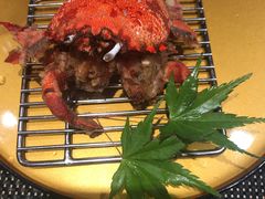 -虹料理·日料放题(悠方店)