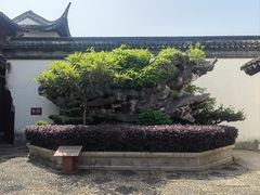 -檀园