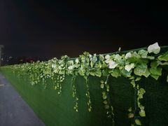 -砂之船奥特莱斯(合肥店)