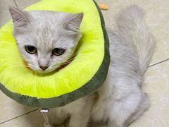 -联合动物医院(光谷诊疗中心)