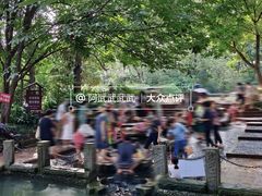 -成都市活水公园