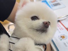 -美联众合动物医院·24h转诊中心