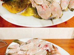海捕野生红斑鱼-凯华海鲜火锅·传承三十六年
