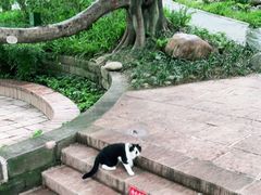 -成都市活水公园