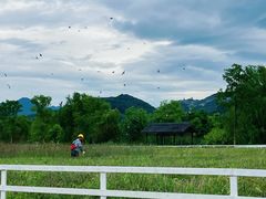 -杭州灵山景区