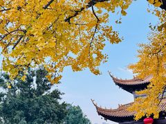 -圆通寺