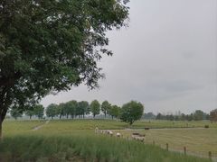 -汉长安城未央宫国家考古遗址公园