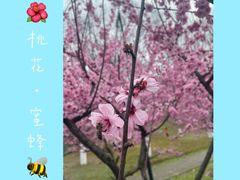 -堤角公园