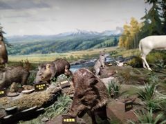 -陕西自然博物馆