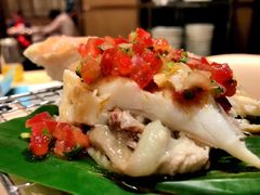 -新食谱全日制餐厅·苏州苏州湾艾美酒店