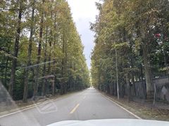 -都江堰普照寺