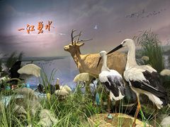 -湖南省地质博物馆