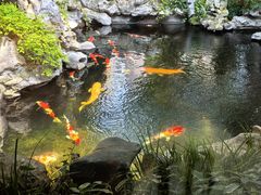 -鲤院·新中式美学·庭院餐厅(夫子庙店)