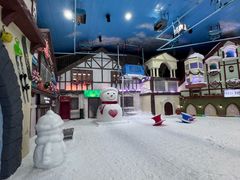 -世界之窗阿尔卑斯冰雪世界
