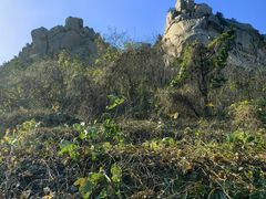 -崂山仰口游览区