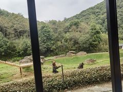 -杭州野生动物世界