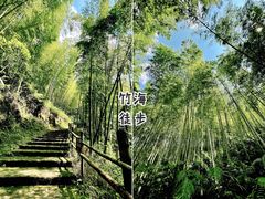 -千泷沟大瀑布旅游区