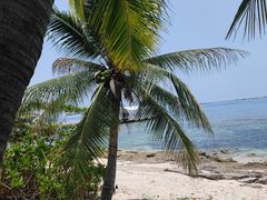 -三亚西岛海洋文化旅游区