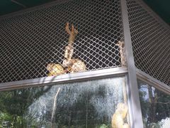 -长白岛森林公园